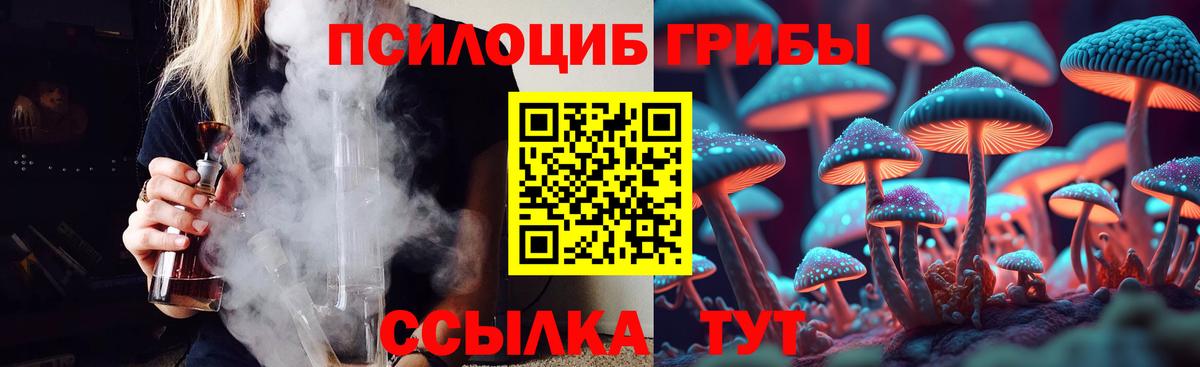 Бахчисарай  Псилоцибиновые грибы ЛСД  Вход с VPN 